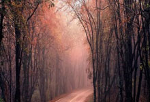 华体会官网：科雷亚：在国米捧杯时最美妙；会用“冠军”一词来形容劳塔罗.