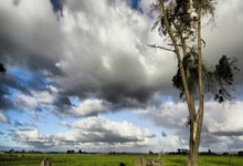 华体会官网：兰德尔20分哈登8中1 森林狼终结快船主场9连胜.