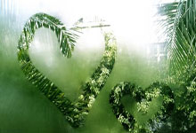 华体会官网：科雷亚：在国米捧杯时最美妙；会用“冠军”一词来形容劳塔罗.